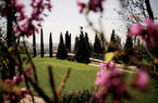 Cimitero Flaminio