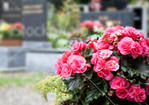 Altri cimiteri a Roma