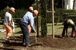 Riqualificazione del verde nei Cimiteri Capitolini e nuovo modello operativo per il decoro del Verano 